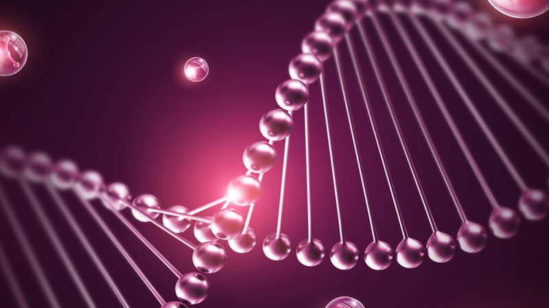 分子生物学试剂：如何选择可靠的代理商？**