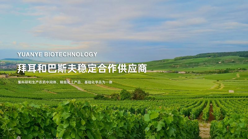 生物科技公司产品参数认证标准
