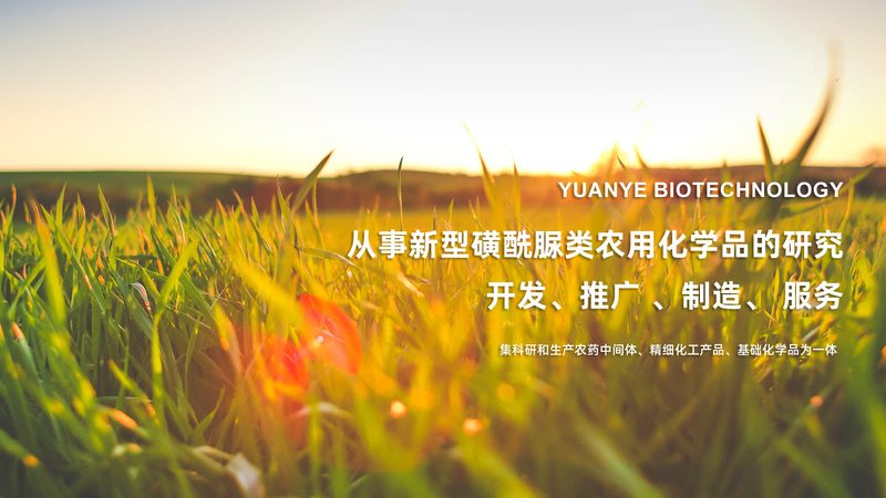 治疗性单克隆抗体定制：揭秘定制化药物的研发奥秘