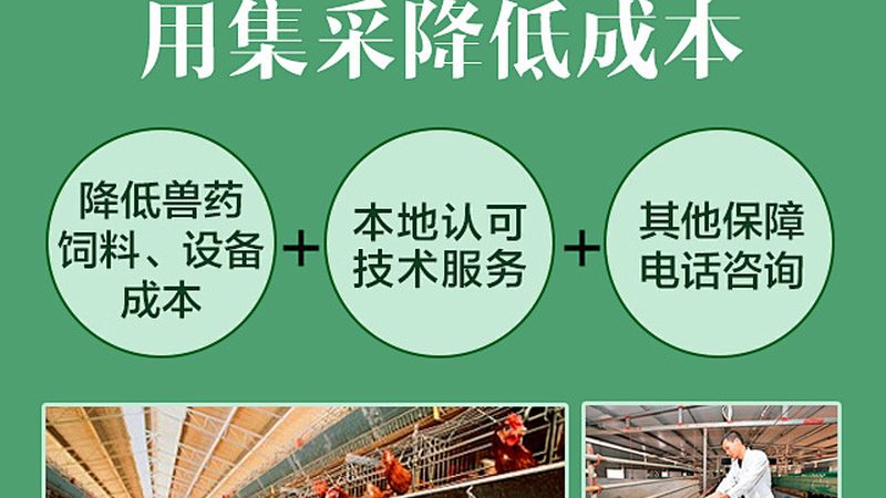 小分子CDMO：如何选择合适的生产厂家？**
