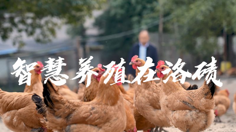生物医药外包成本控制：关键步骤与策略解析**