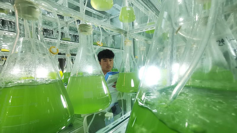 北京生物科技公司资质要求：合规之路的关键要素**